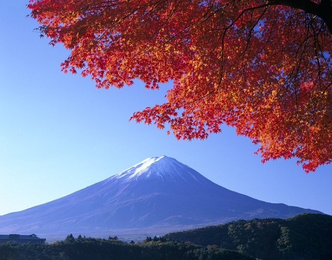 5 places to visit during autumn in Japan